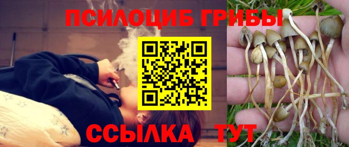 Галлюциногенные грибы мухоморы  Вход с VPN  Фурманов 